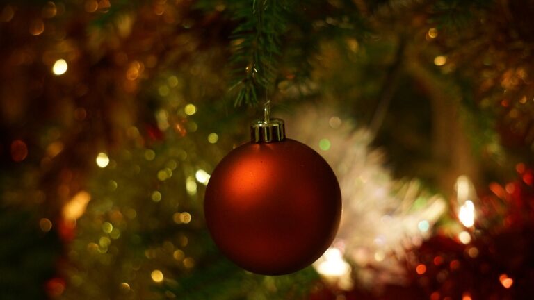 christmas, christmas tree decoration, christmas ball-233384.jpg